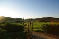 View from sleeping room