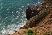 Birds on rock
