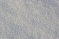 A picture of fresh snow!