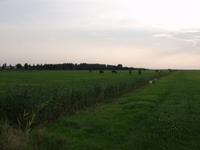 Vanaf Slinkewei zicht naar IJsselmeer. Dit is een enorme weide waar we mogelijk terecht kunnen